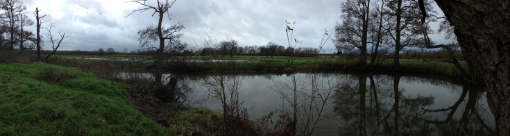 View across the River Wey to the main scrape (1) at BCF