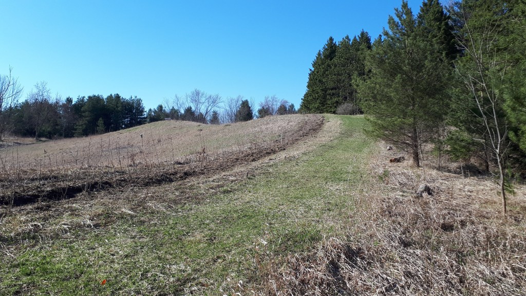 Life IN the hedge- toward a monitoring programme for Ontario’s hedgerows (Earth Day&nbsp;2019)